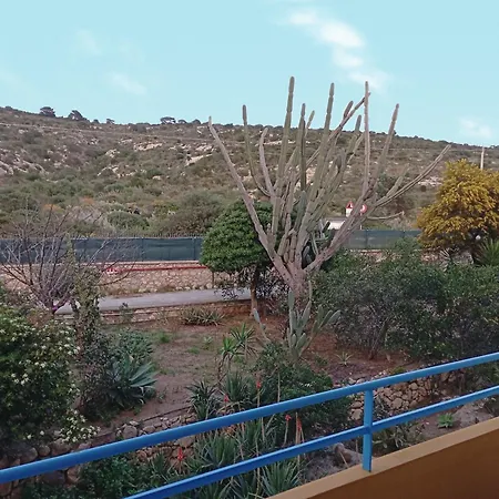 Calamosca 3*