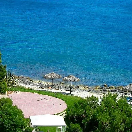 Calamosca 3*