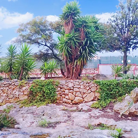 Calamosca
