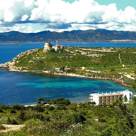 Calamosca
